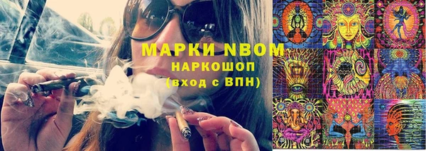 шишки Майский