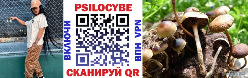 MEGA ссылка  Орёл  Галлюциногенные грибы Psilocybe  наркотики 